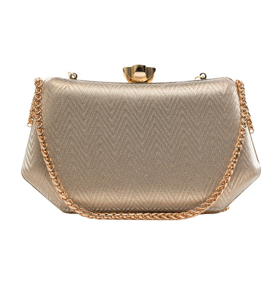 Vdesi's Lustrous Box Clutch